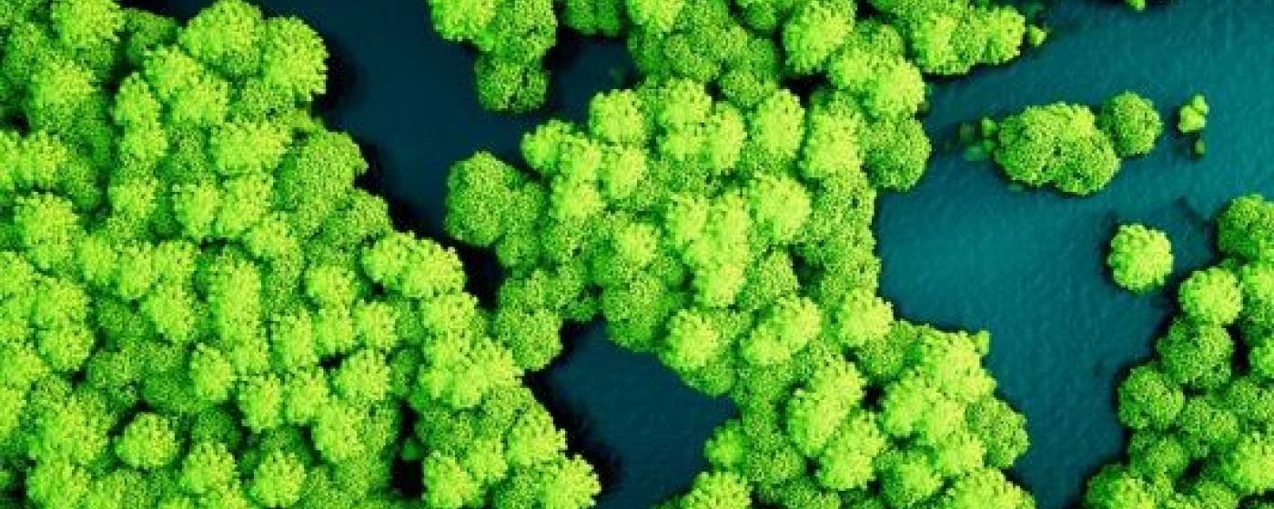 Περιβαλλοντική συνείδηση εργαζομένων