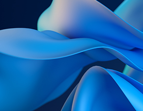 Our History Our History