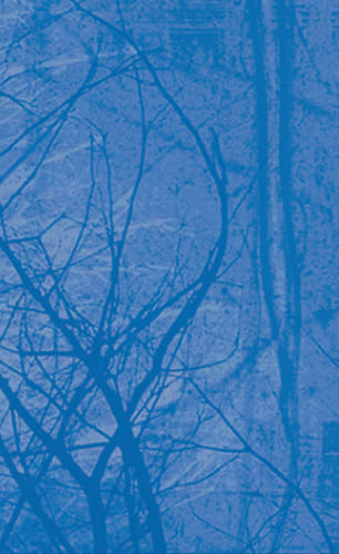 Κατασκευή Κοινοτικού Ιατρείου στις Ροβιές Ευβοίας Κατασκευή Κοινοτικού Ιατρείου στις Ροβιές Ευβοίας